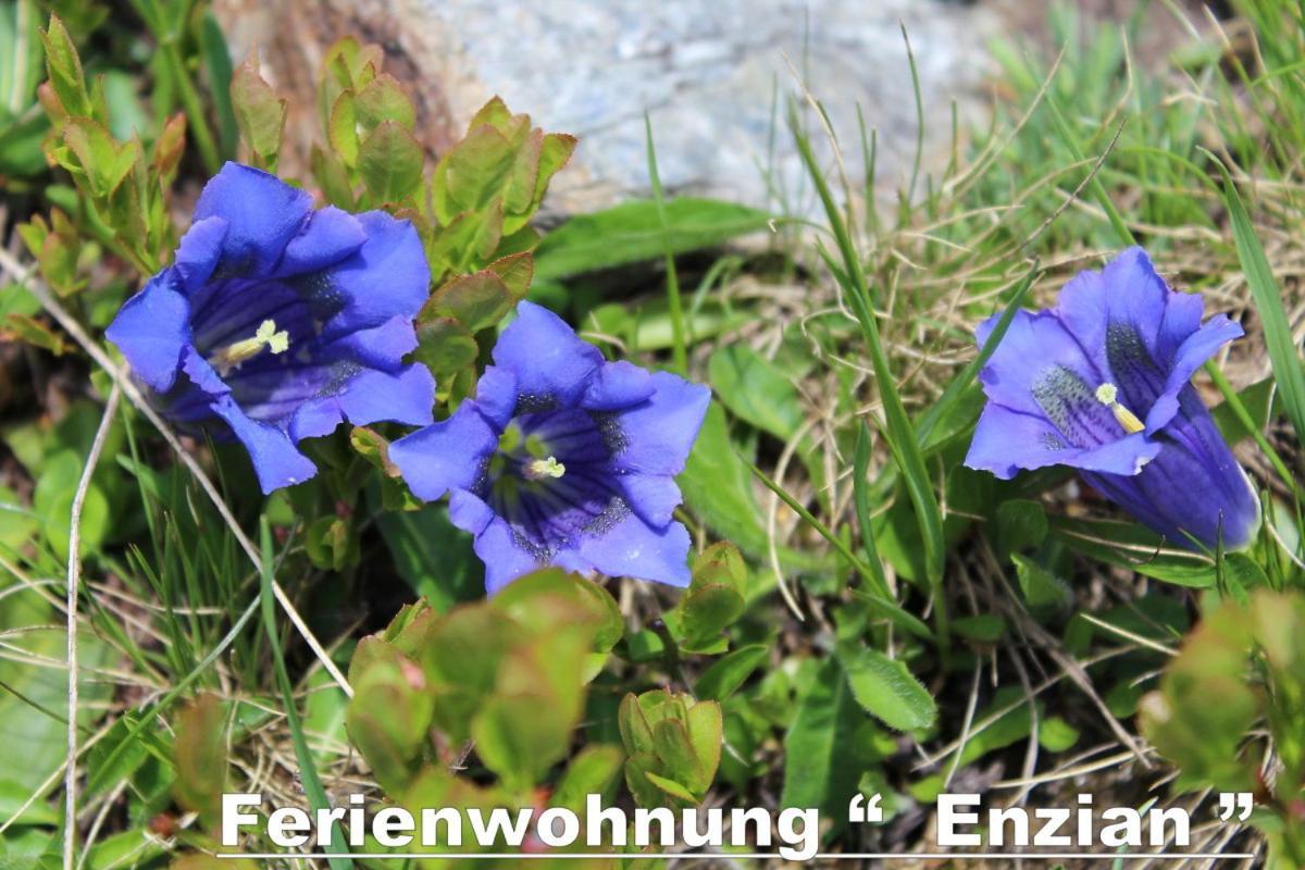 Haus Annemarie Apartments Kartitsch - Hochpustertal エクステリア 写真