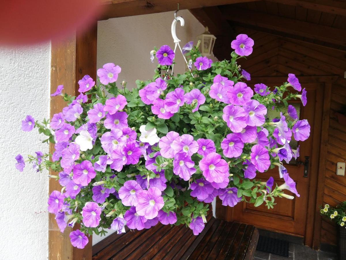 Haus Annemarie Apartments Kartitsch - Hochpustertal エクステリア 写真