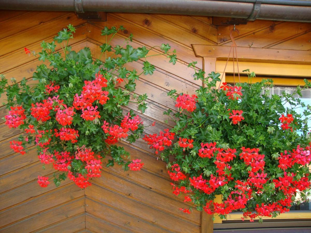Haus Annemarie Apartments Kartitsch - Hochpustertal エクステリア 写真