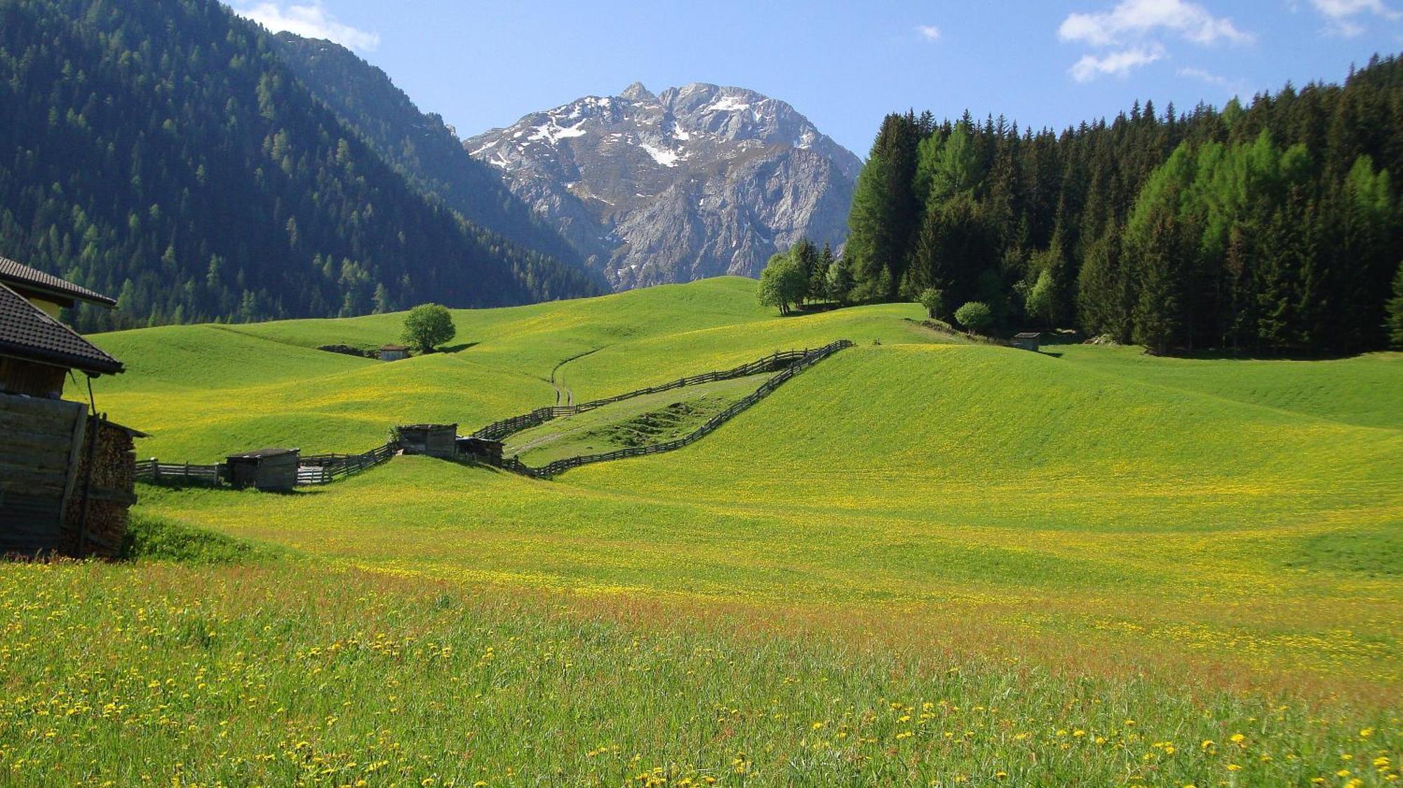 Haus Annemarie Apartments Kartitsch - Hochpustertal エクステリア 写真