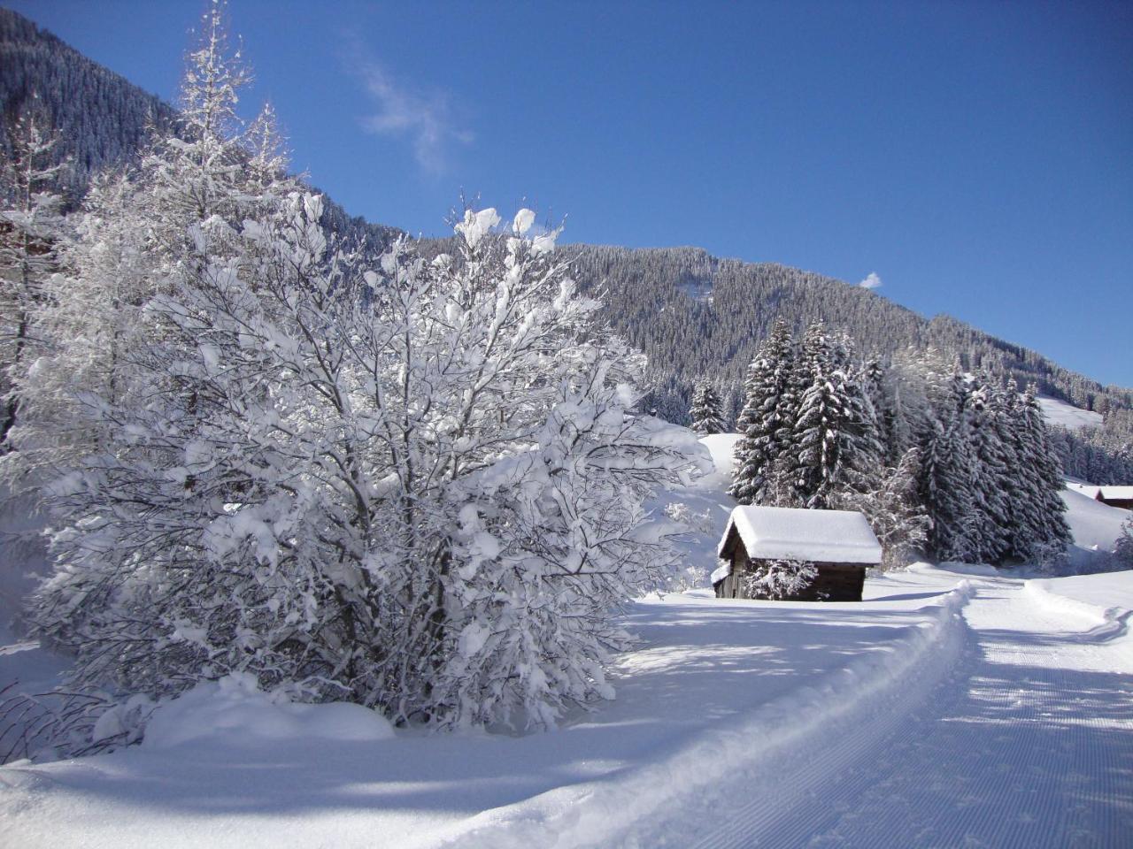 Haus Annemarie Apartments Kartitsch - Hochpustertal エクステリア 写真