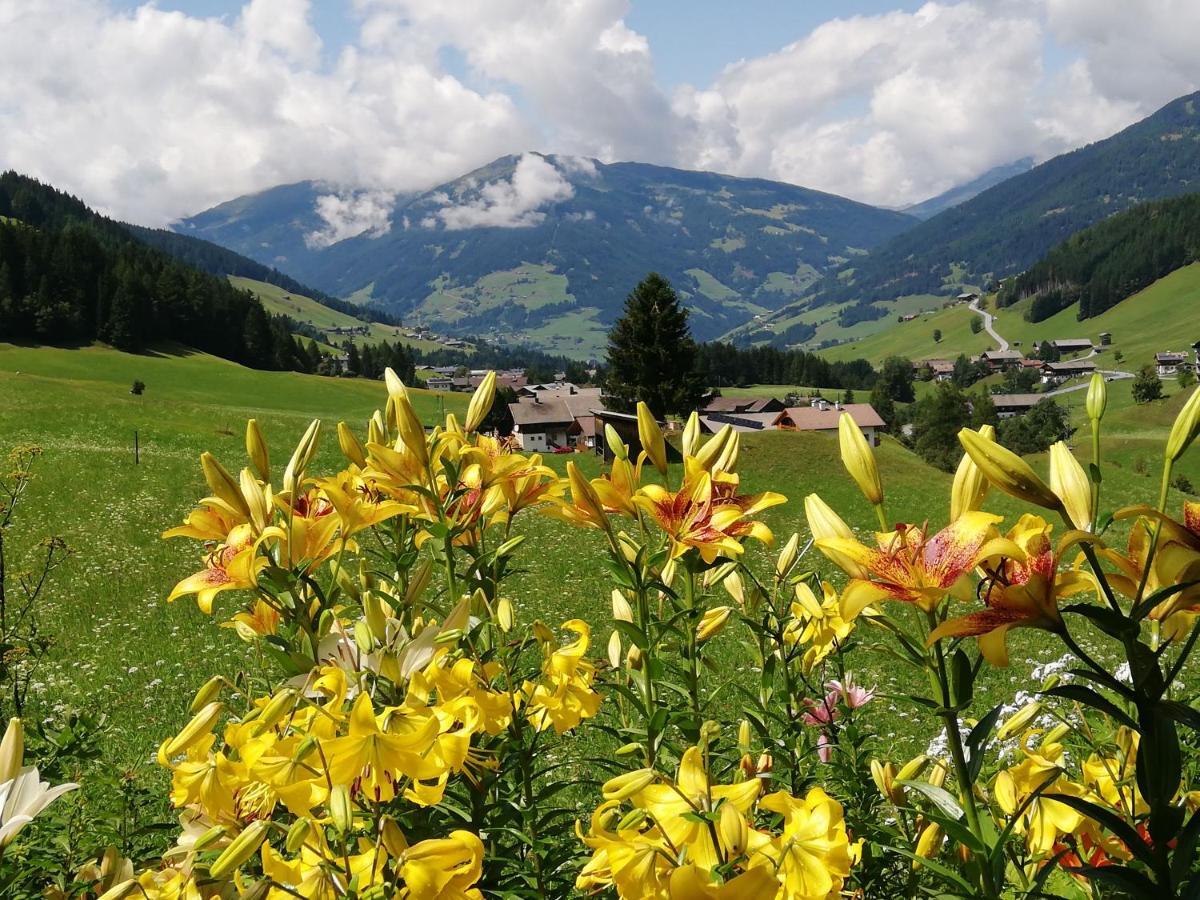 Haus Annemarie Apartments Kartitsch - Hochpustertal エクステリア 写真
